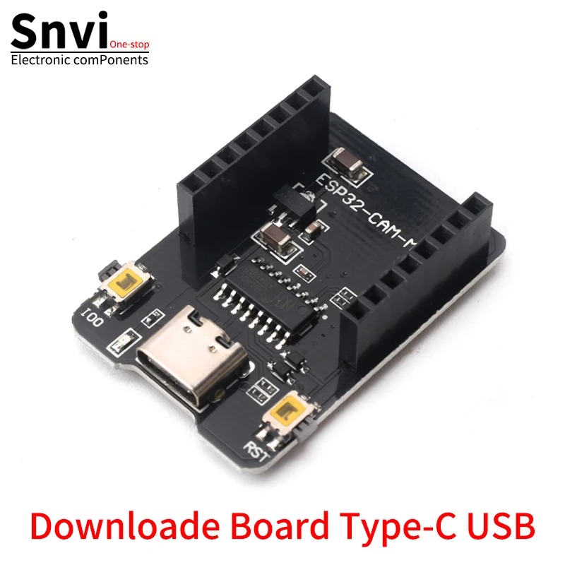ESP 32